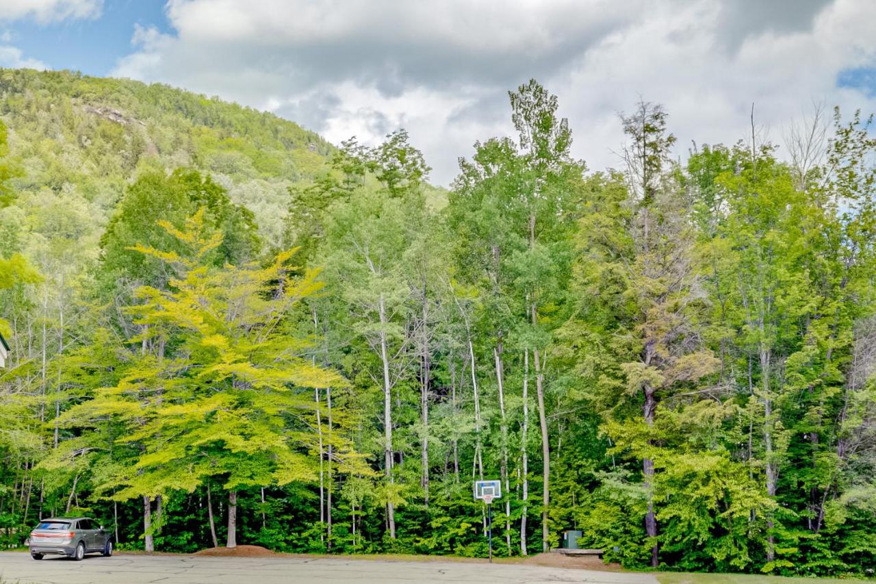 White Mountain Retreat Apartment Lincoln Exterior photo